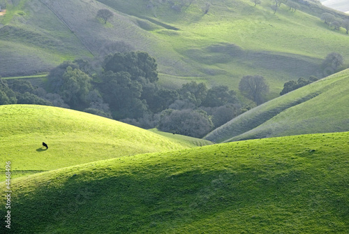 Mount diablo foothills
