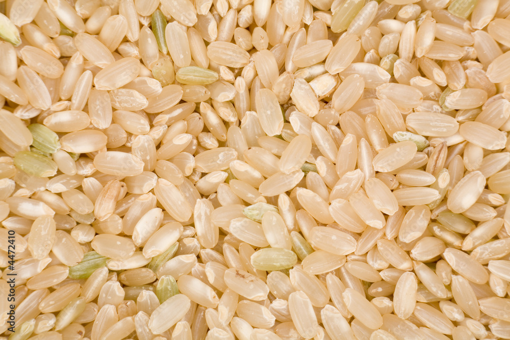 Brown Rice Brown Rice