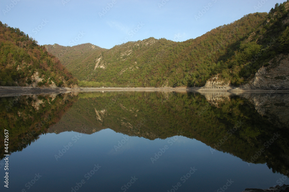 Lakeside Reflection