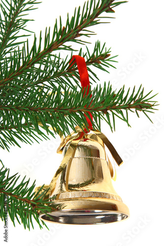 Branch of fir