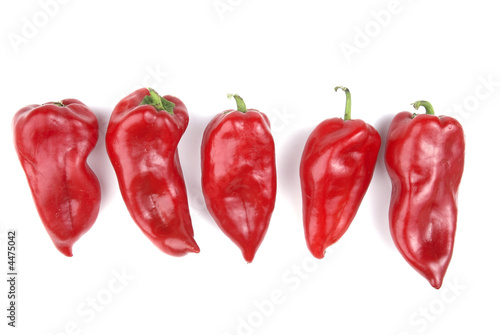Red Peppers in Group