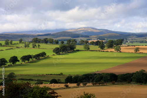 Cheviots Hill photo