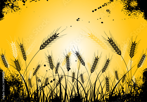 Grunge grass and ears, vector