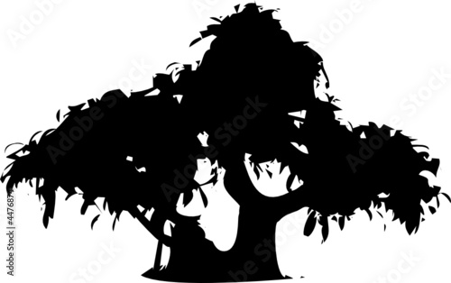 bonsai