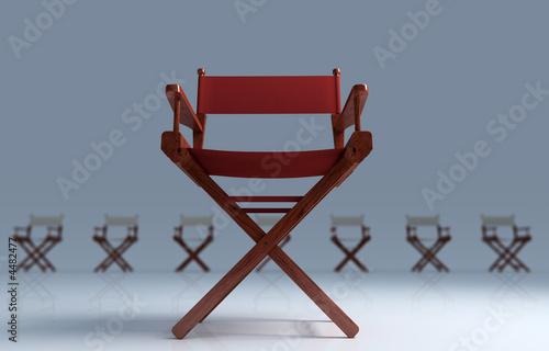 Director chair
