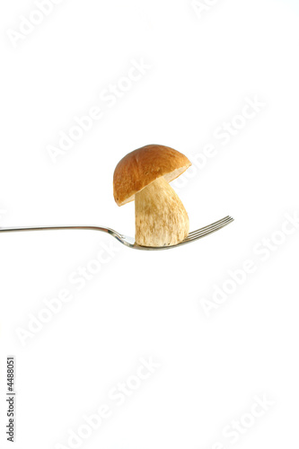 little mushroom on fork