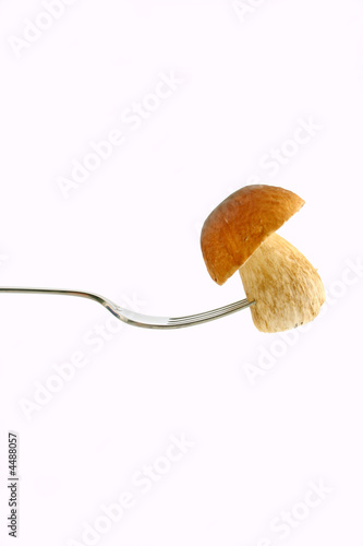 tasty mushroom