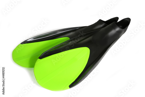 Flippers