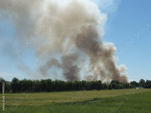 landscape with smoke from fire