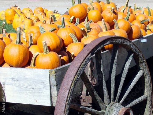 Pumpkins and a Wagon Wheel