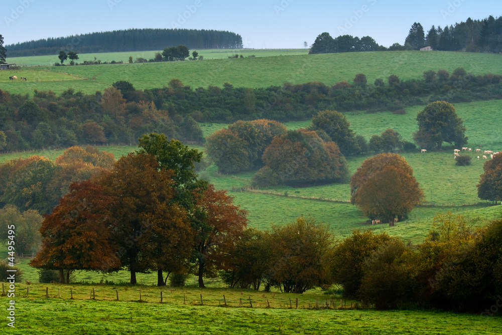 Fototapeta premium autumn country landscape