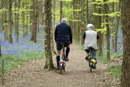 Cycling in a forest