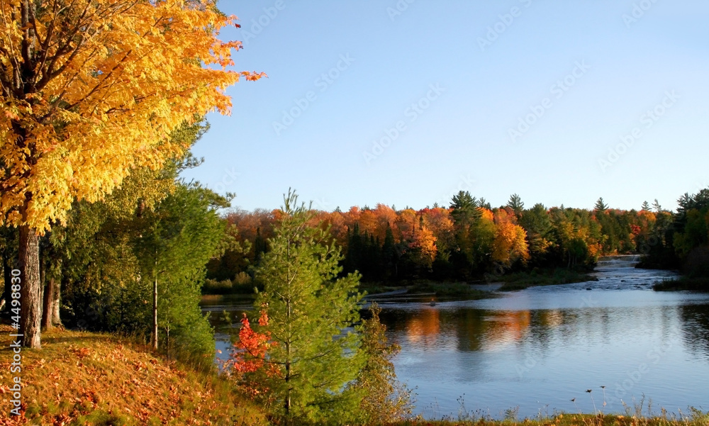 Obraz premium Autumn Reflections 