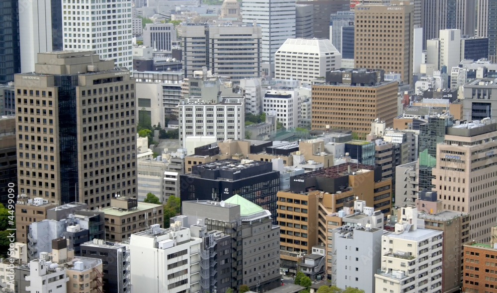 Fototapeta premium Tokyo City