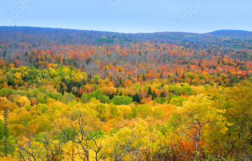 Fototapeta Naklejka Na Ścianę i Meble -  Autumn In Mountains