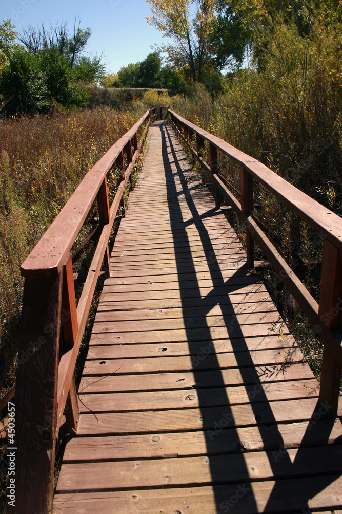 Bridge Bridge