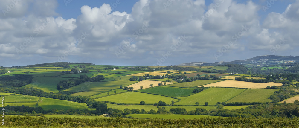 Naklejka premium cornwall
