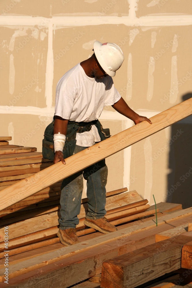 construction worker,carpenter construction worker,carpenter