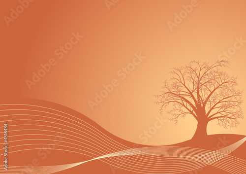 beautiful abstract vector autumn tree design