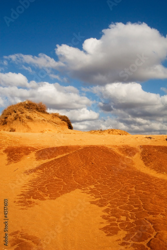 Dune