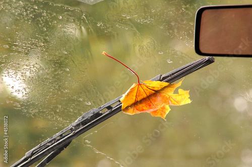 Car window