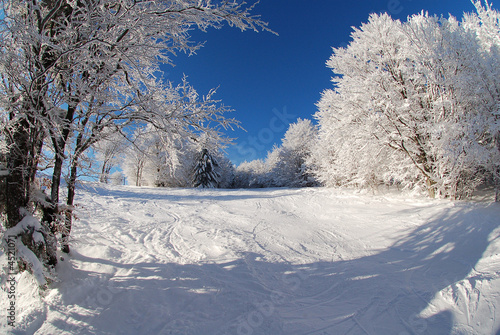 Ombre sur neige