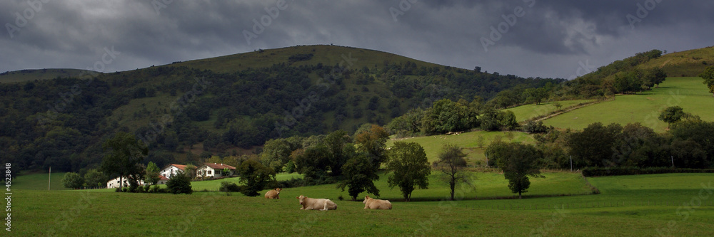 Obraz premium collines