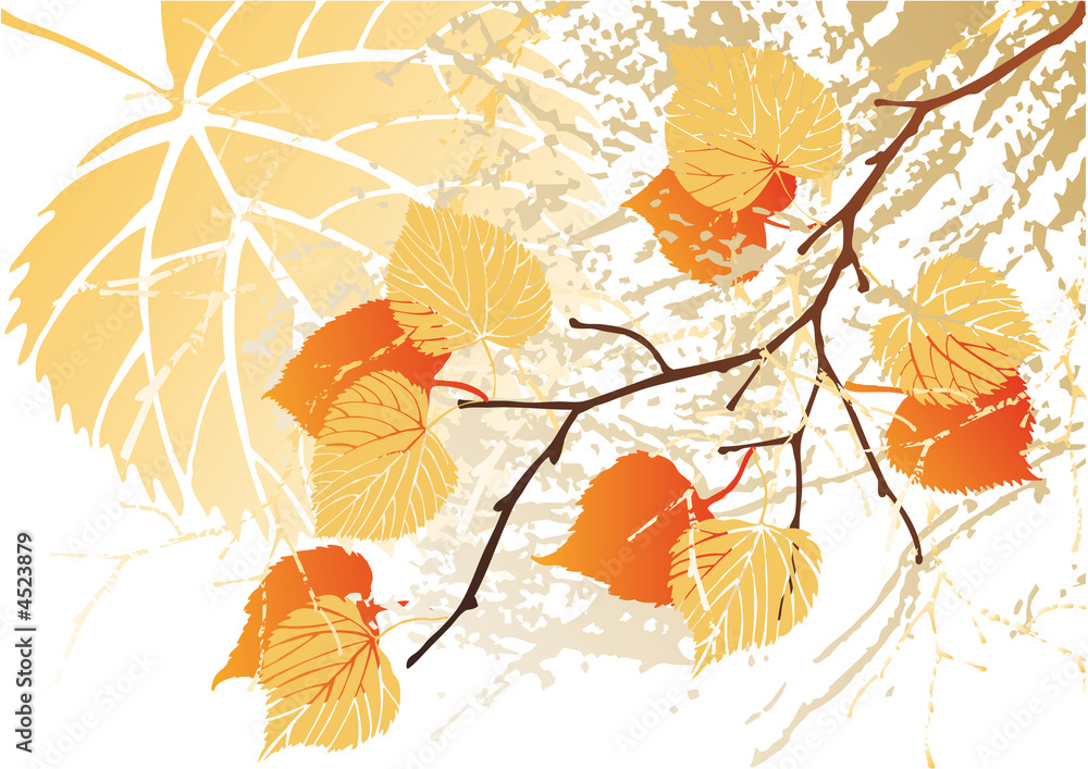 September leaves background September leaves background