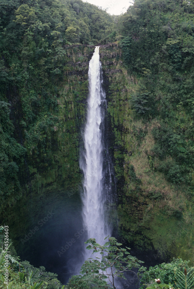 Akaka Falls, Big Island of Hawaii, USA