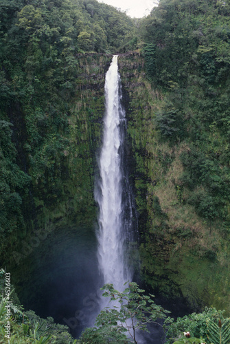 Akaka Falls  Big Island of Hawaii  USA
