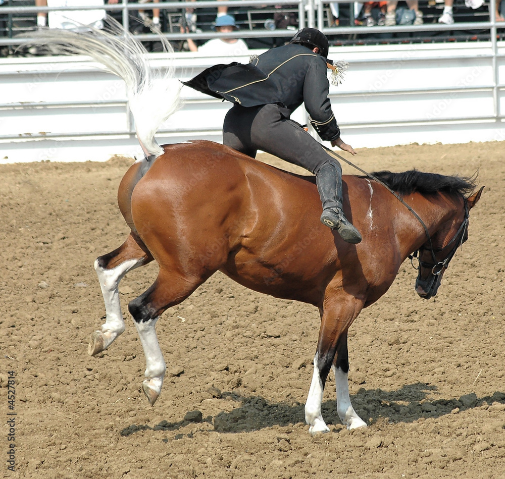 Horse Bucking Rider Stock Photo | Adobe Stock