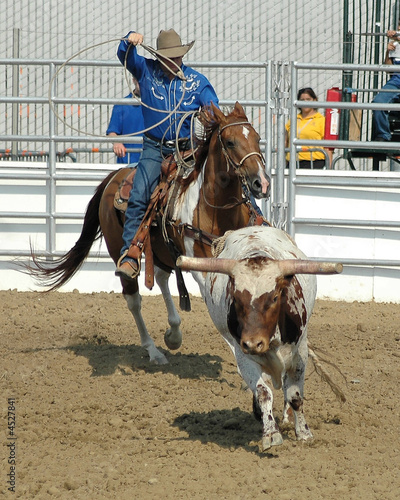 Cowboy Roping a Bull