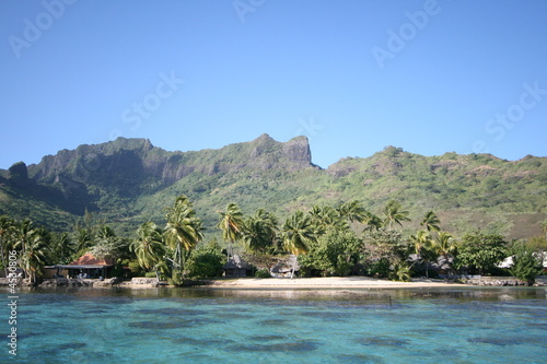 Isla de Moorea, Polinesia