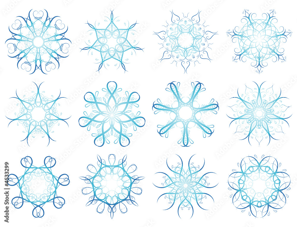 twelve snowflakes,vector illustration twelve snowflakes,vector illustration