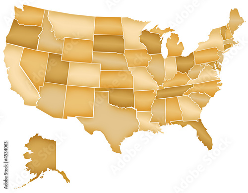 Carte Etats Unis Camaieu Marron