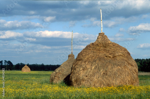 Hayricks