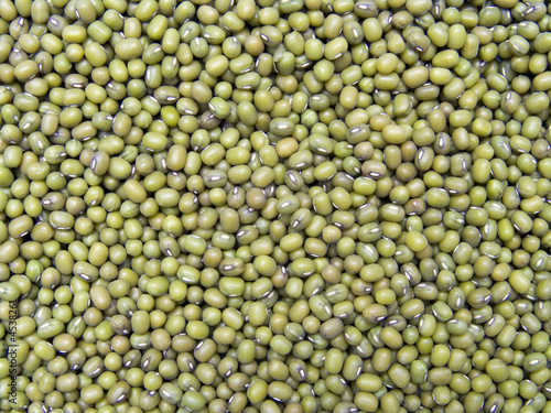 graines de soja