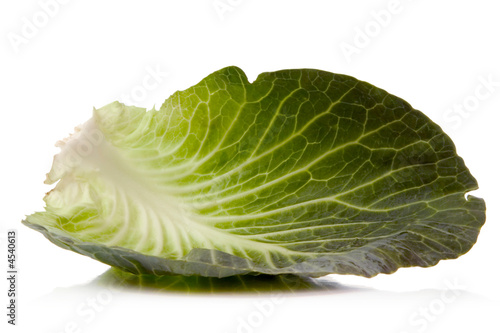 green cabbage
