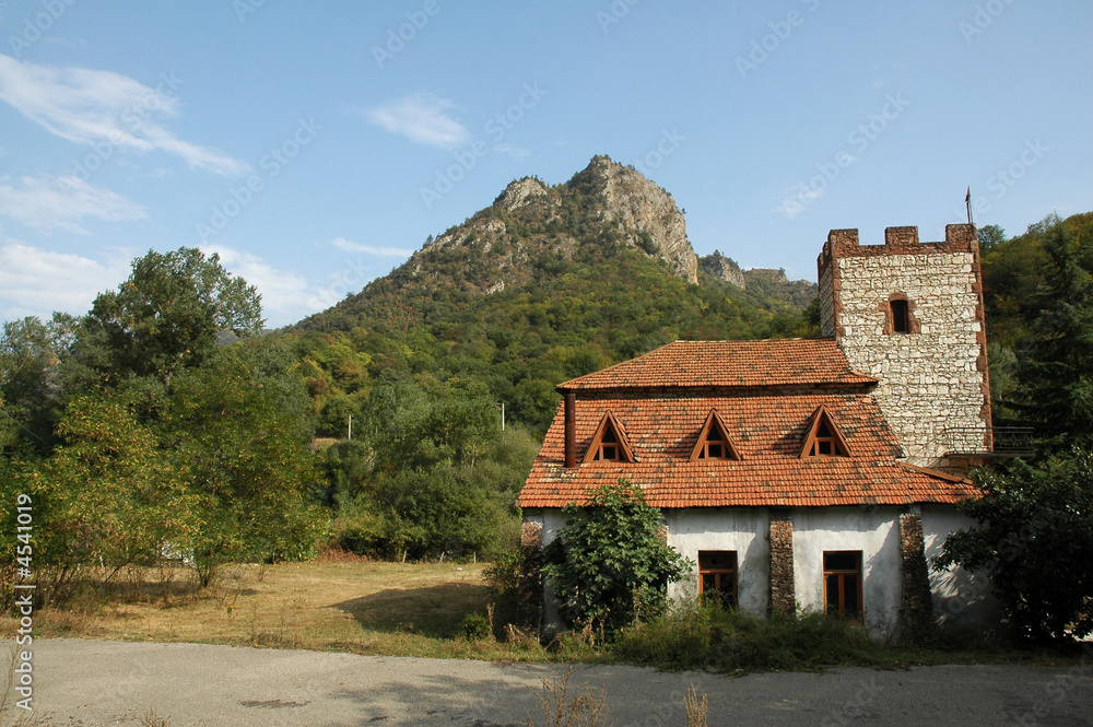 mountain cabin in forest