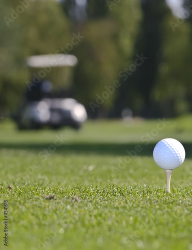 Golf Tee