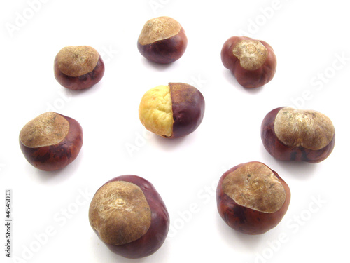 Wallpaper Mural chestnut Torontodigital.ca