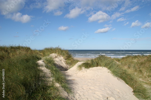 Fototapeta Naklejka Na Ścianę i Meble -  Blick von den Dünen zum Strand