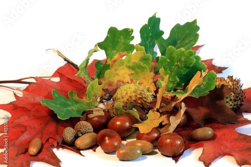autumn