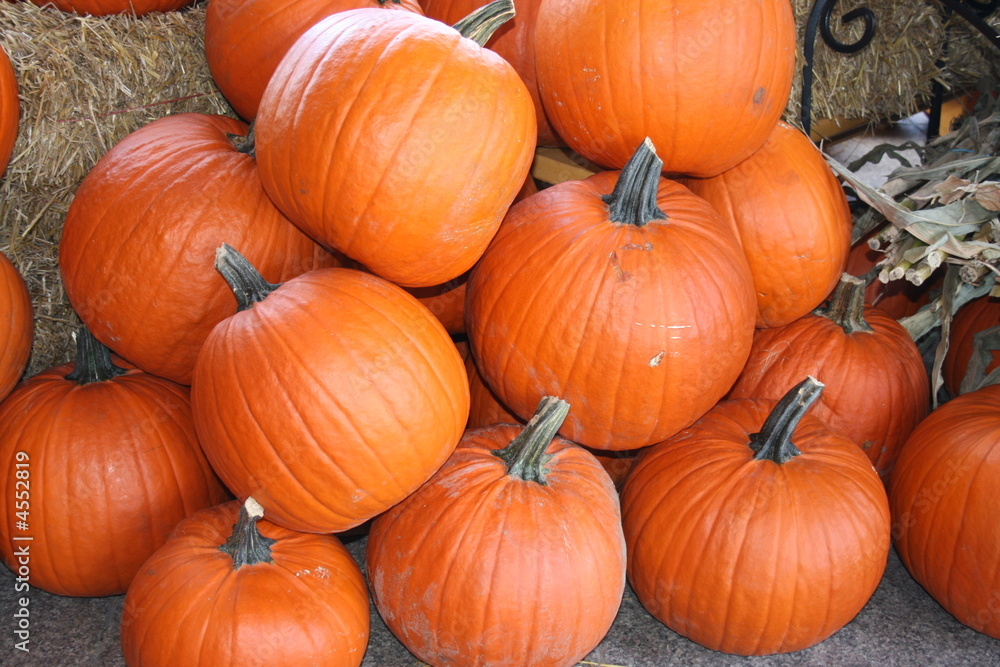 Pumpkins Pumpkins