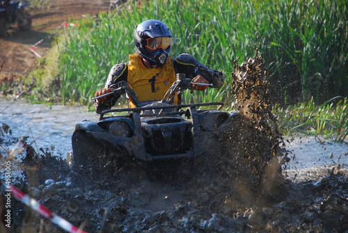 quad31