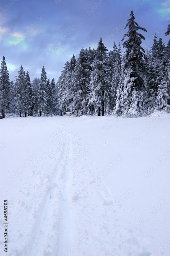 Obraz premium Winterlandschaft 21