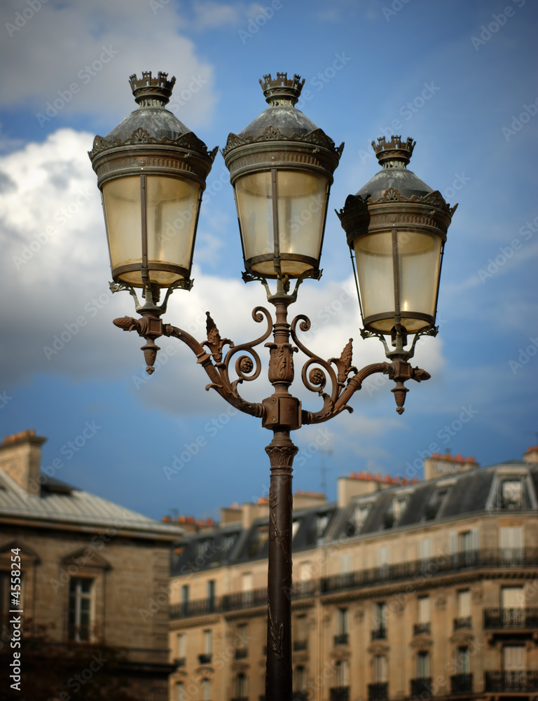 Lamps Against a Partly Cloudy Sky, Notre Dame Cathedral