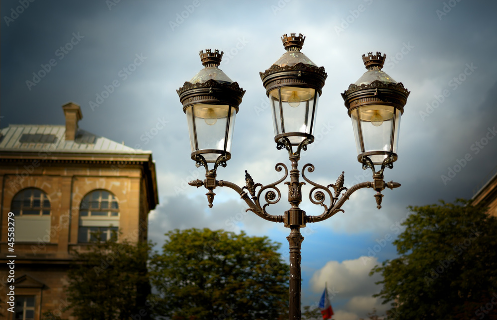 Lamps Against a Cloudy Sky, Notre Dame Cathedral, Paris