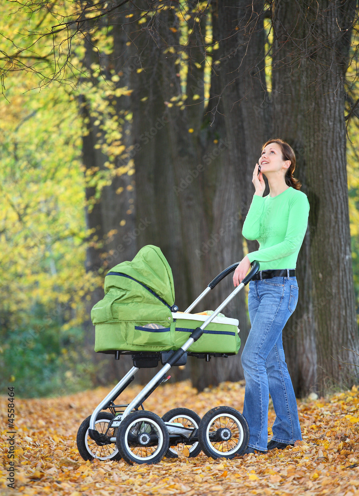Mother and baby in the autumnal park. Mother and baby in the autumnal park.