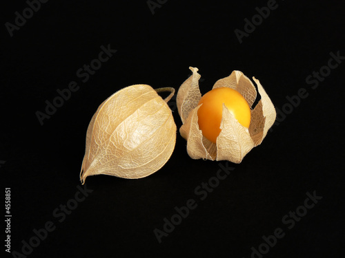 Cuadro en lienzo Matured Physalis Fruit